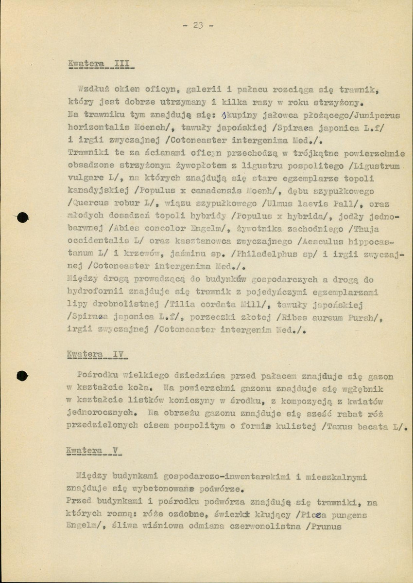 Ewidencja parkowa, skan nr 28
