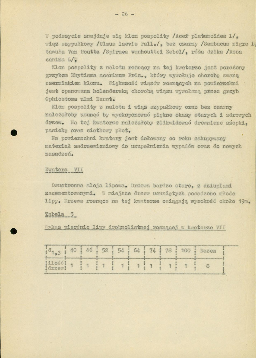 Ewidencja parkowa, skan nr 31