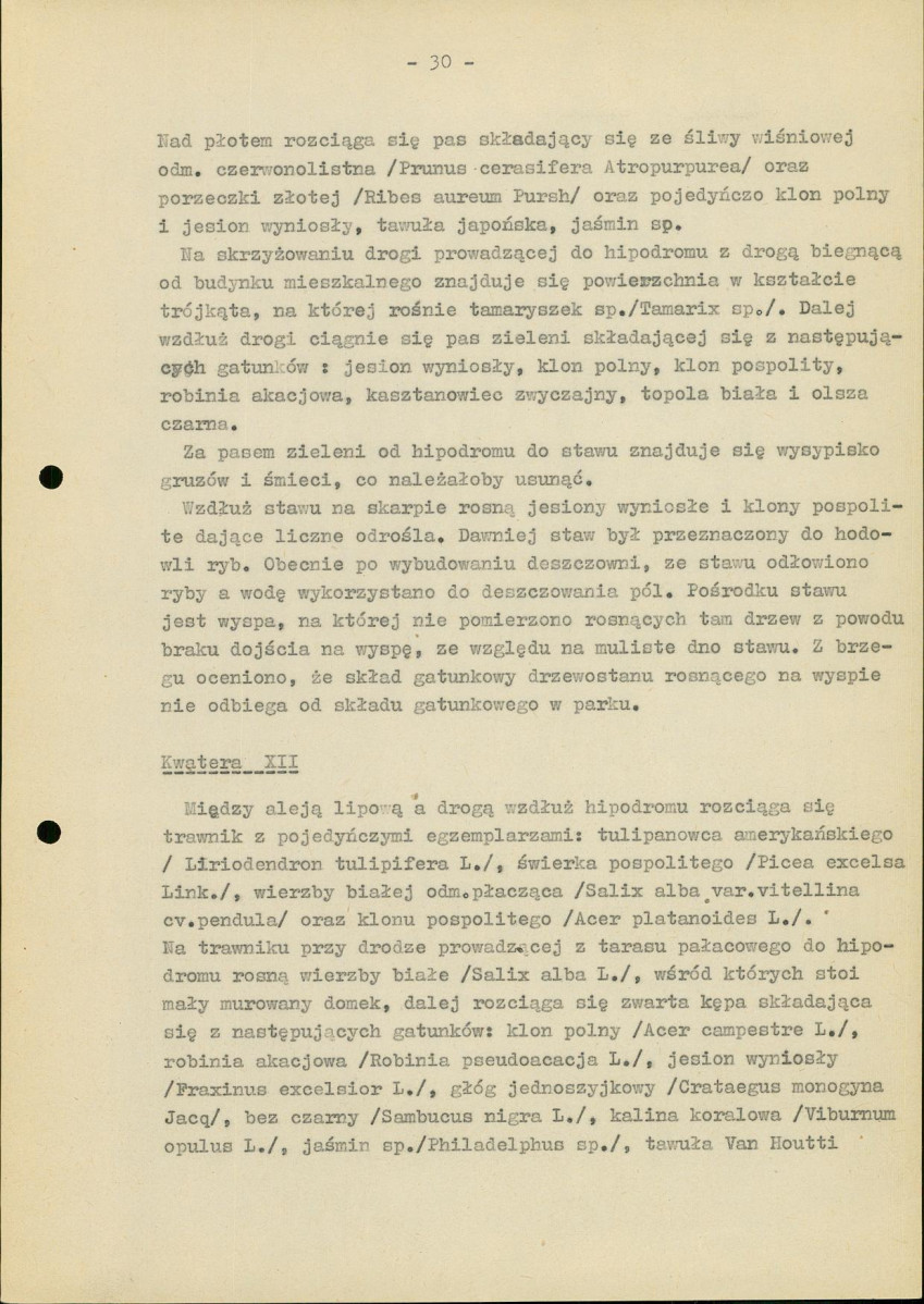 Ewidencja parkowa, skan nr 35