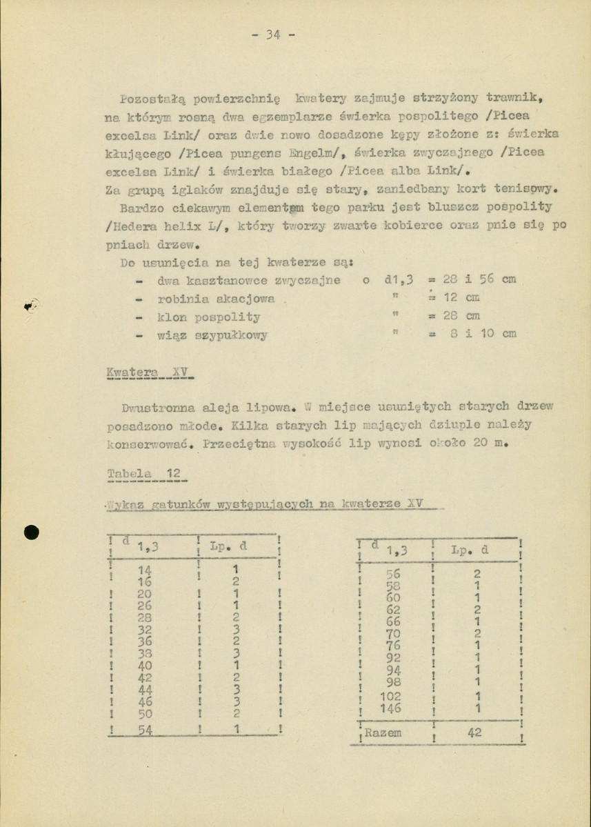 Ewidencja parkowa, skan nr 39