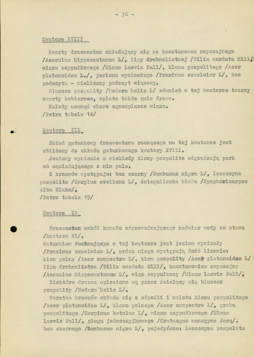 Ewidencja parkowa, skan nr 41