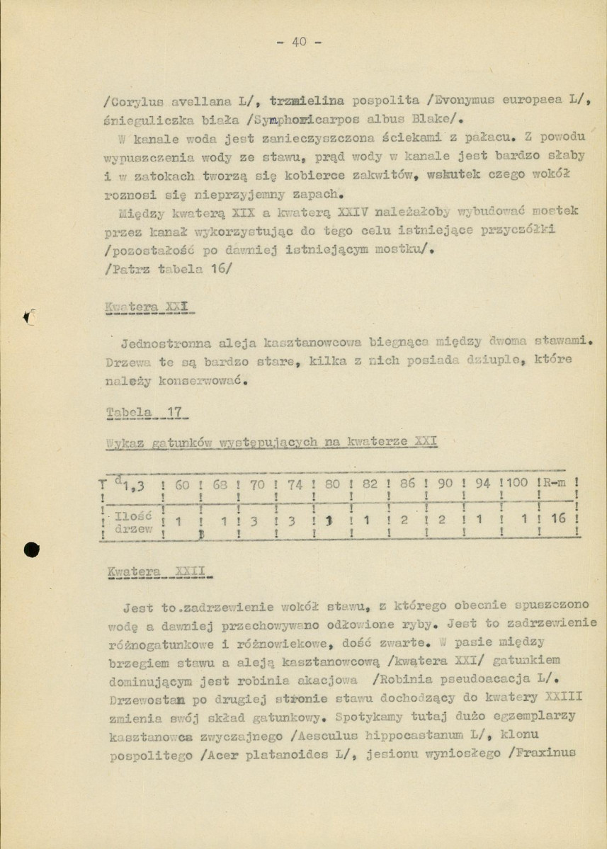 Ewidencja parkowa, skan nr 45