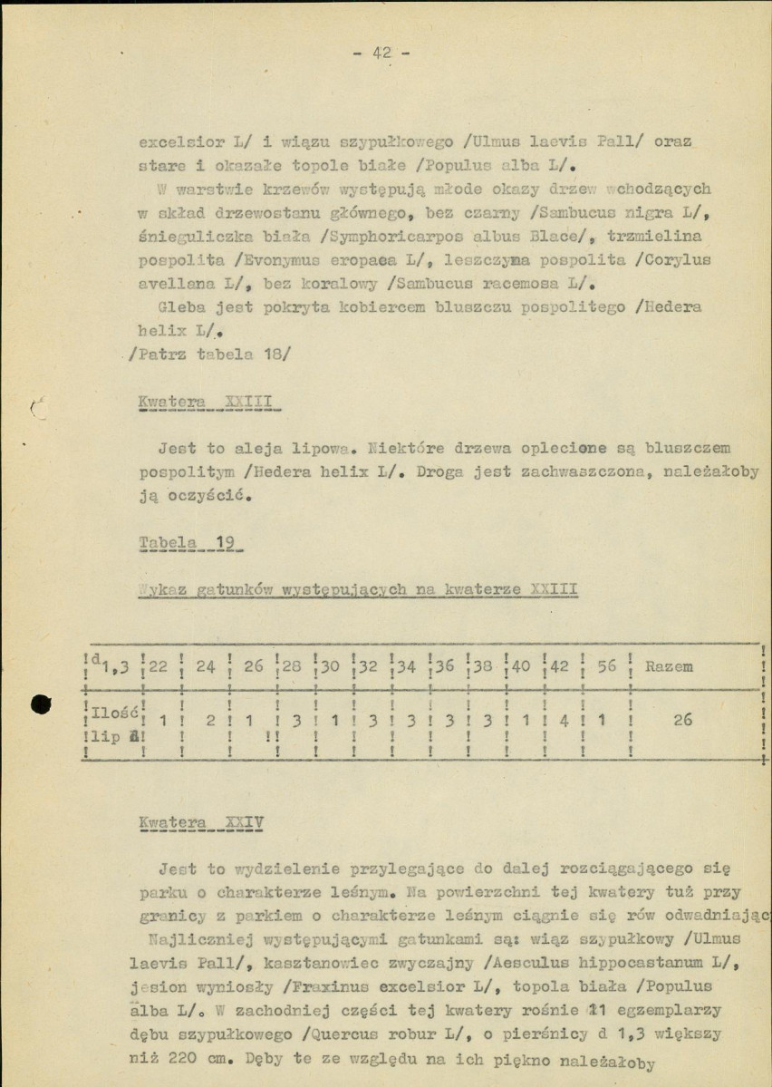 Ewidencja parkowa, skan nr 47