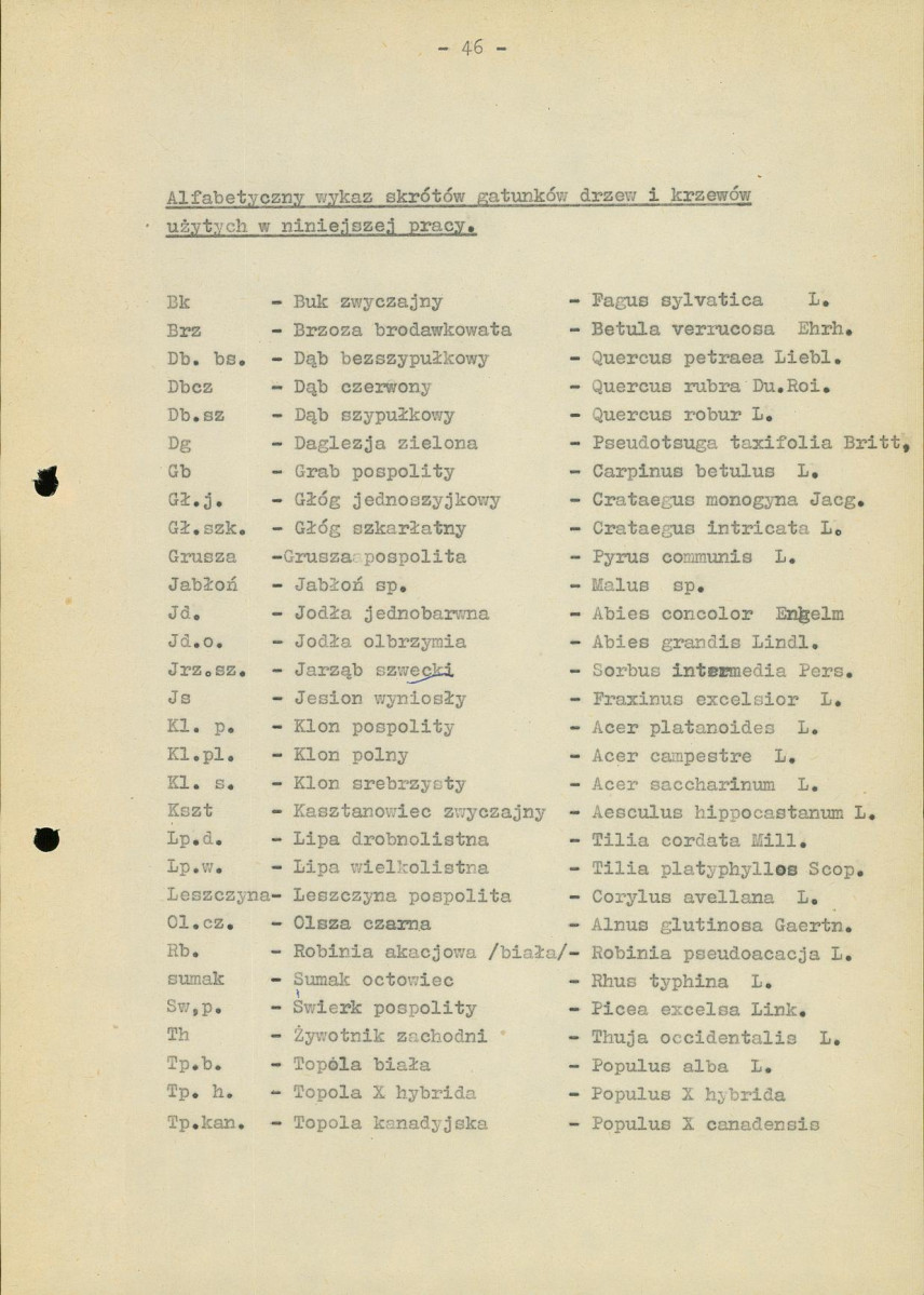 Ewidencja parkowa, skan nr 51