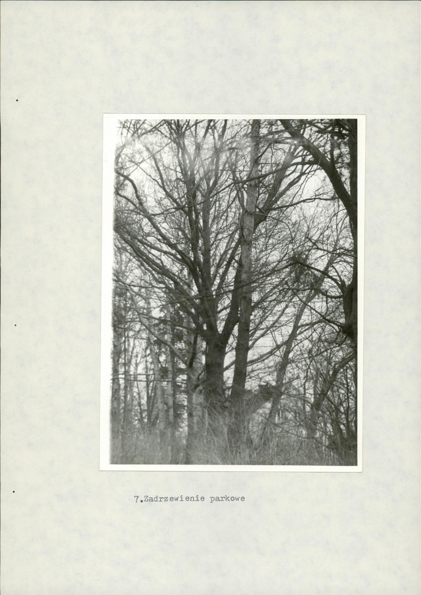 EP - Ewidencja parkowa, skan nr 25