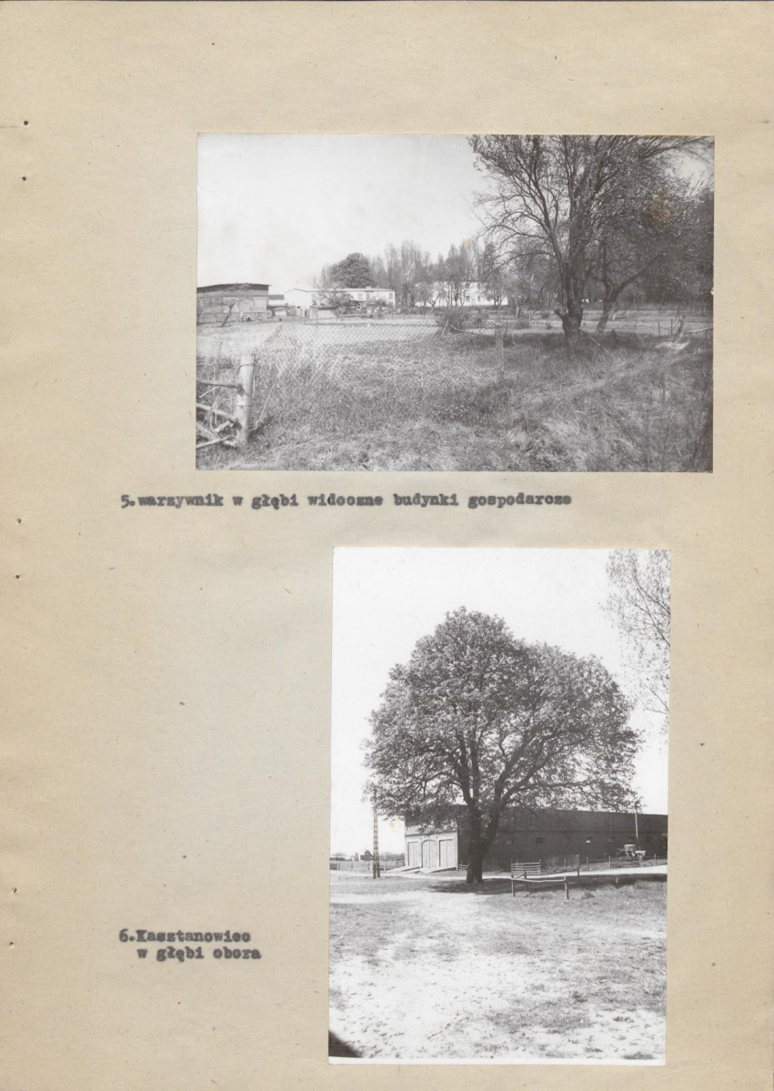 Ewidencja parkowa, skan nr 22