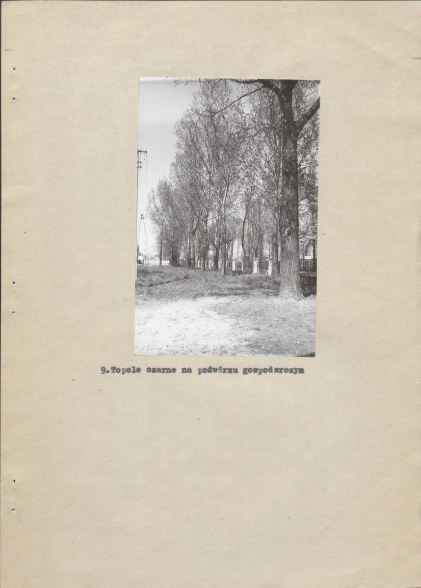 Ewidencja parkowa, skan nr 24