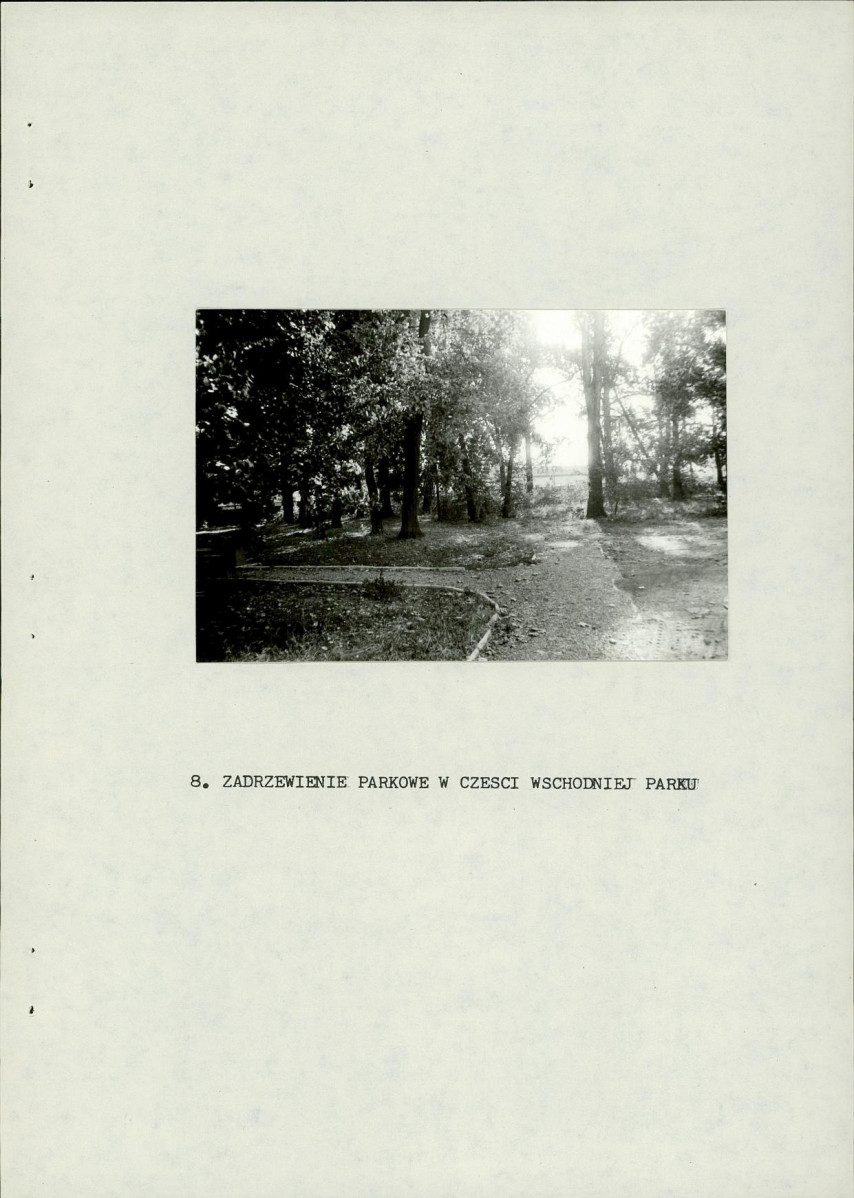 EP - Ewidencja parkowa, skan nr 23