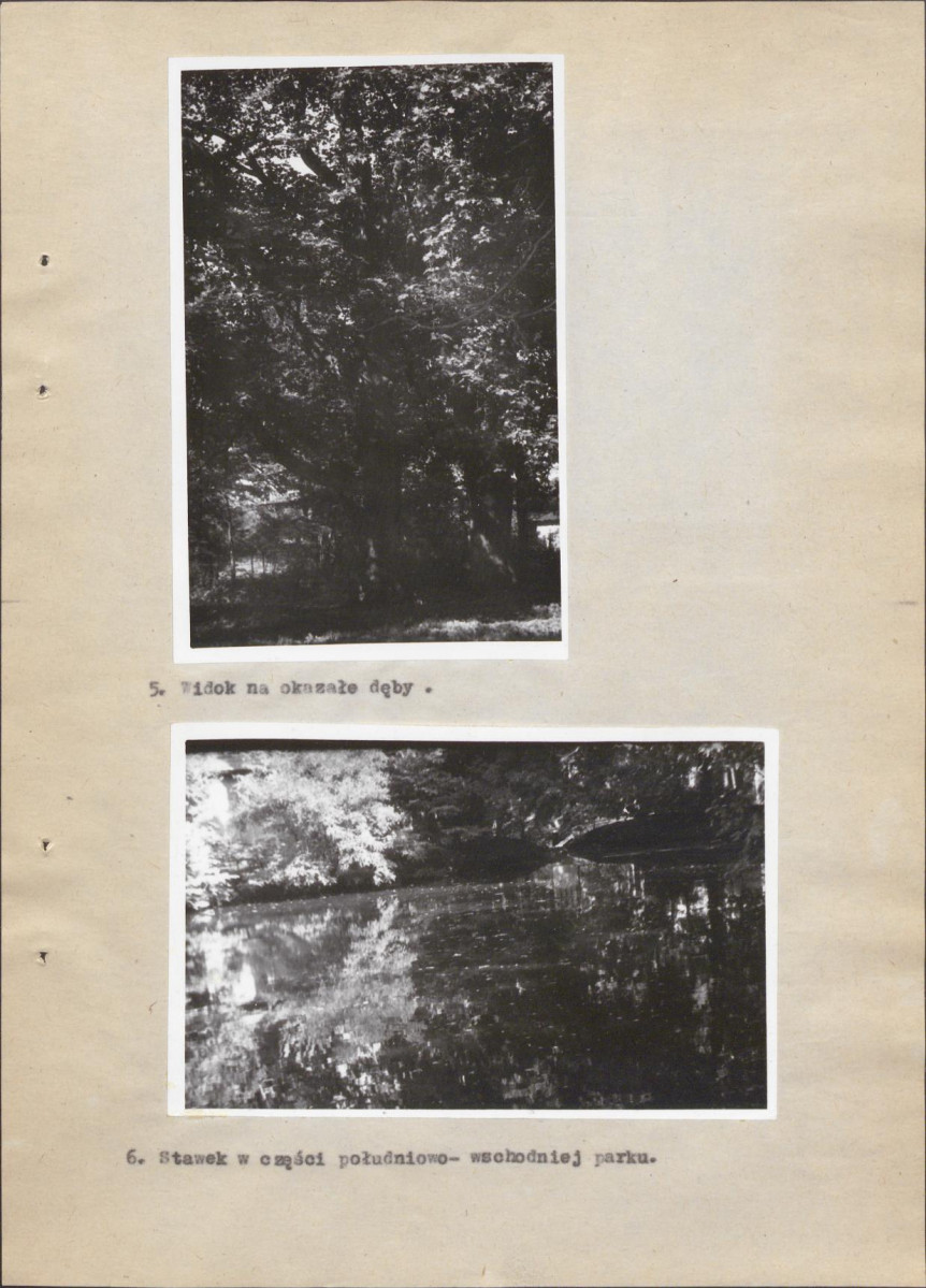 Ewidencja parkowa, skan nr 21