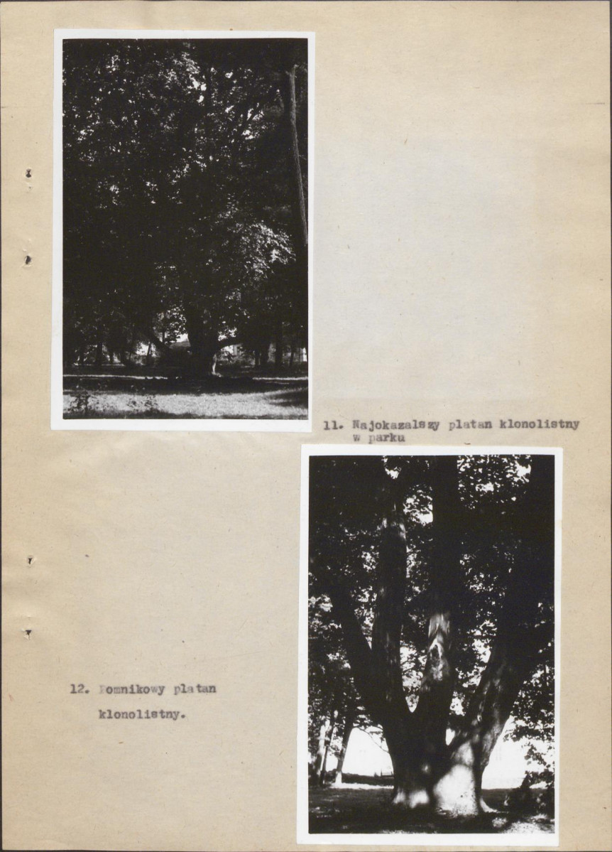 Ewidencja parkowa, skan nr 24