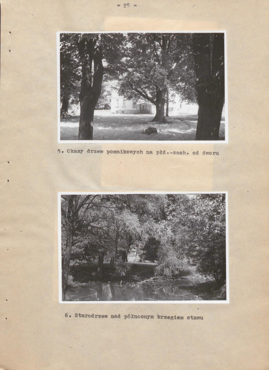 EP - Ewidencja parkowa, skan nr 28