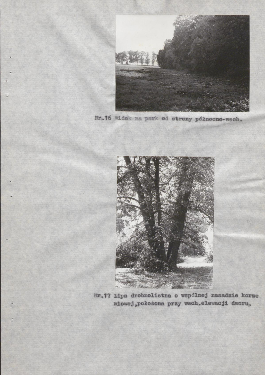 Ewidencja parkowa, skan nr 31