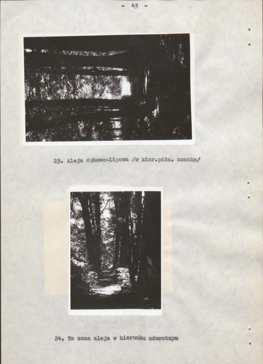 EP - Ewidencja parkowa, skan nr 48