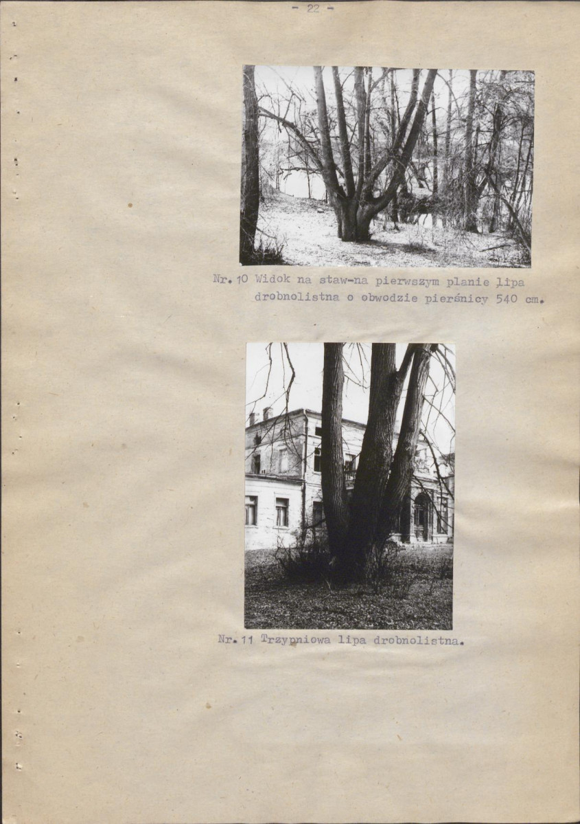 Ewidencja parkowa, skan nr 29