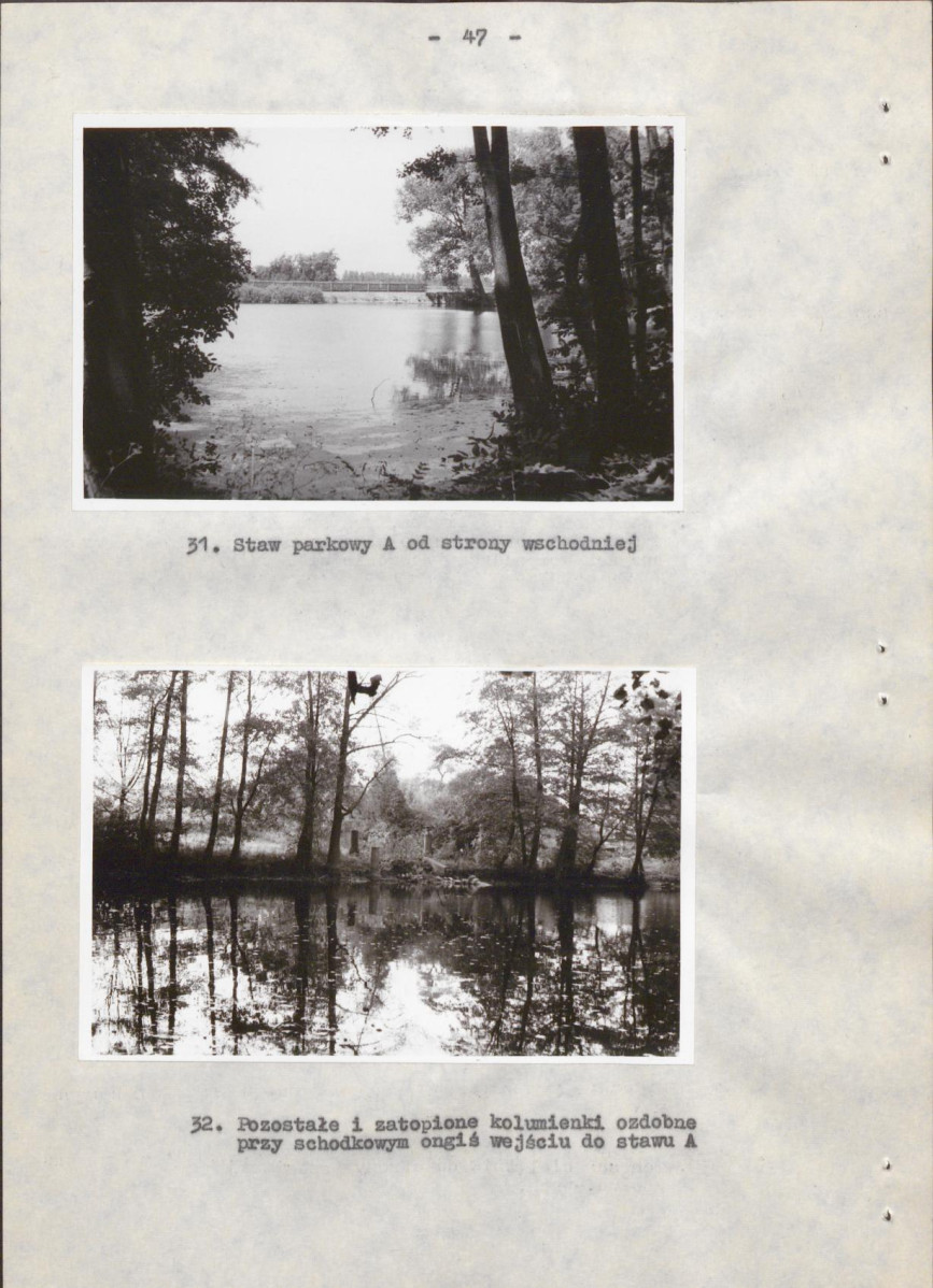 EP - Ewidencja parkowa, skan nr 52