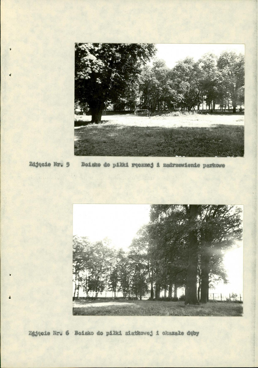 Ewidencja parkowa, skan nr 18