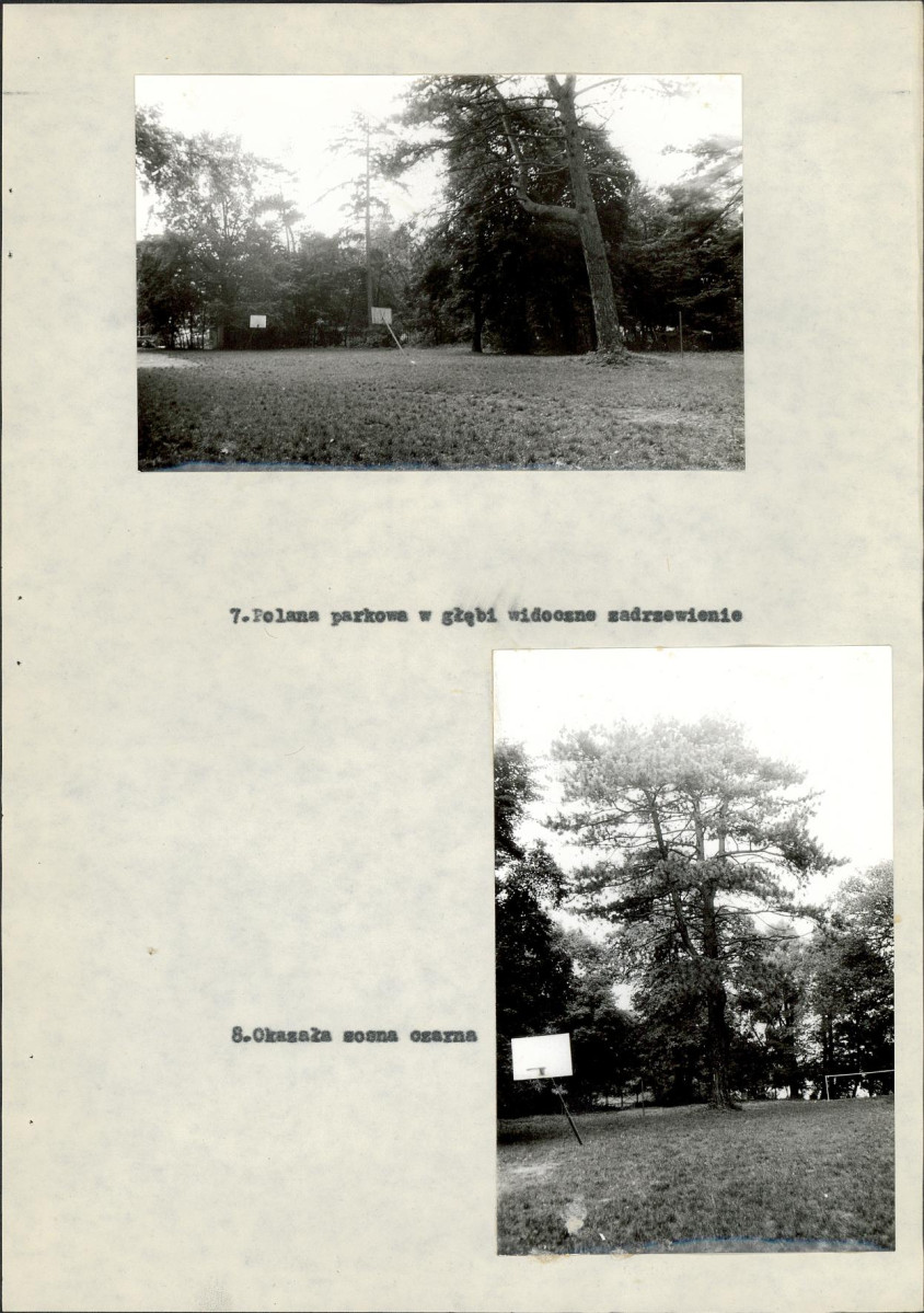 EP - Ewidencja parkowa, skan nr 28