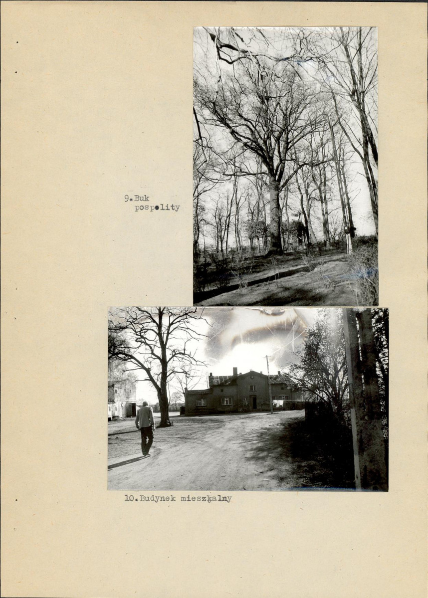Ewidencja parkowa, skan nr 26