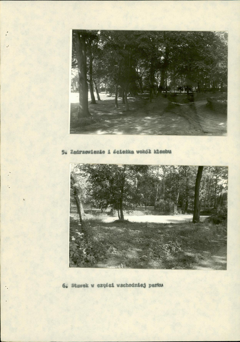 Ewidencja parkowa, skan nr 25