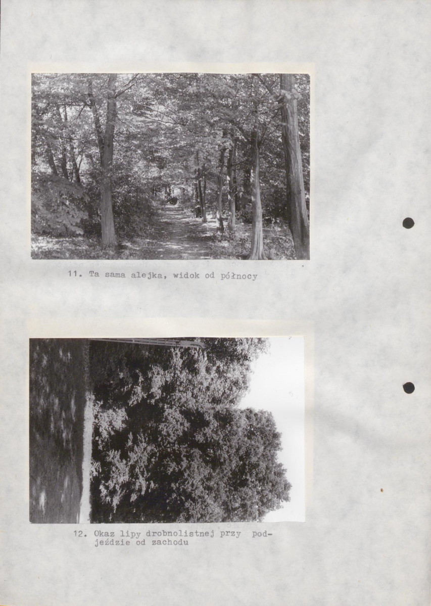 Ewidencja parkowa, skan nr 29