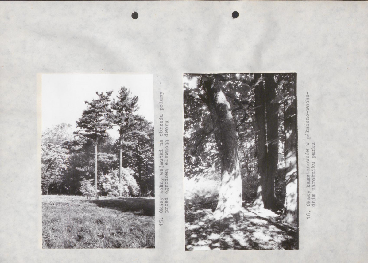 Ewidencja parkowa, skan nr 31