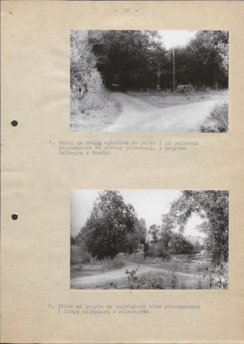 Ewidencja parkowa, skan nr 21