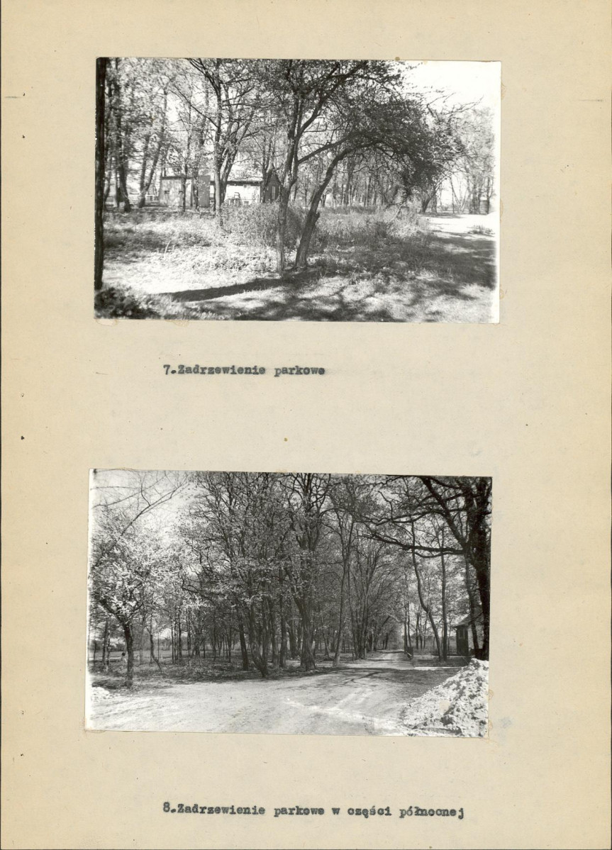 Ewidencja parkowa, skan nr 26