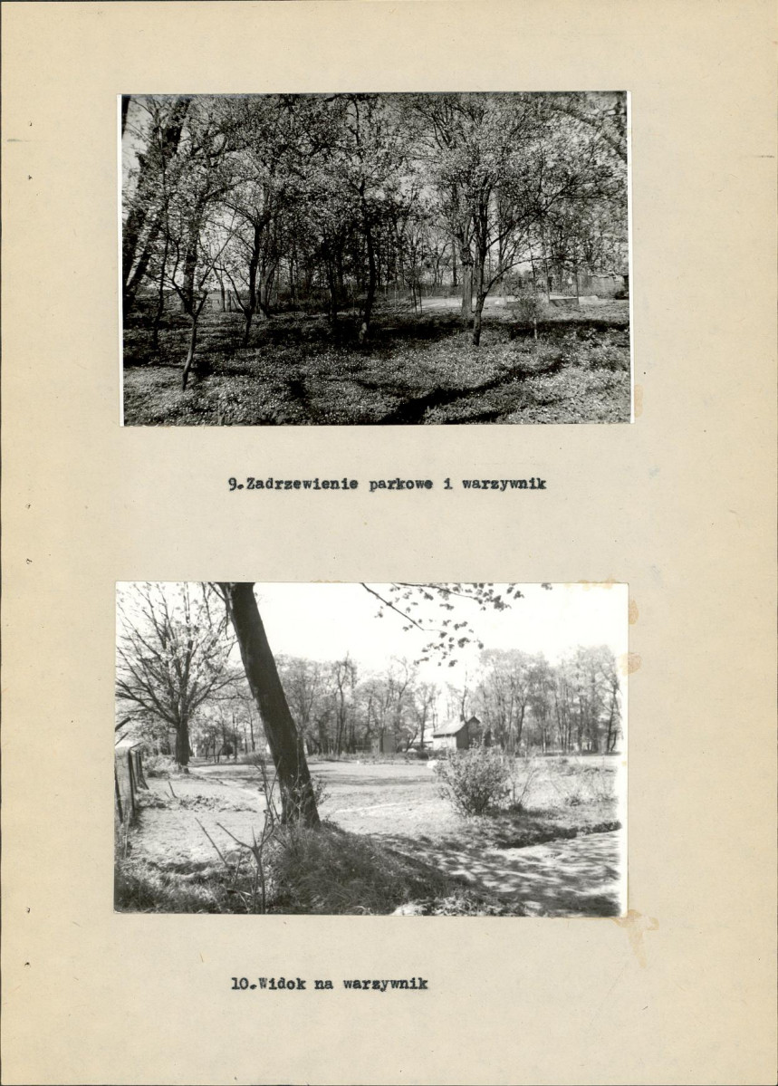 Ewidencja parkowa, skan nr 27