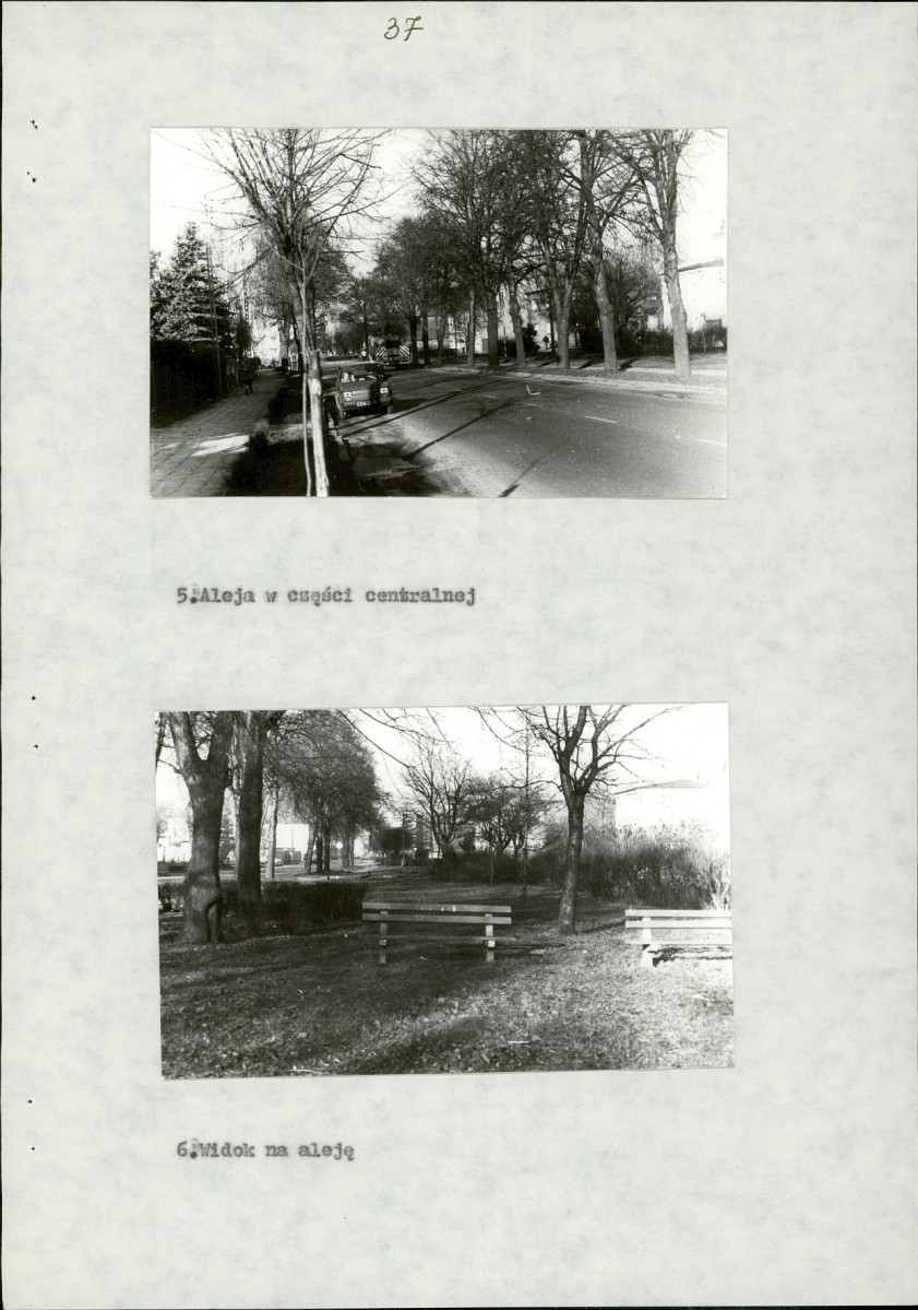 Ewidencja parkowa, skan nr 12