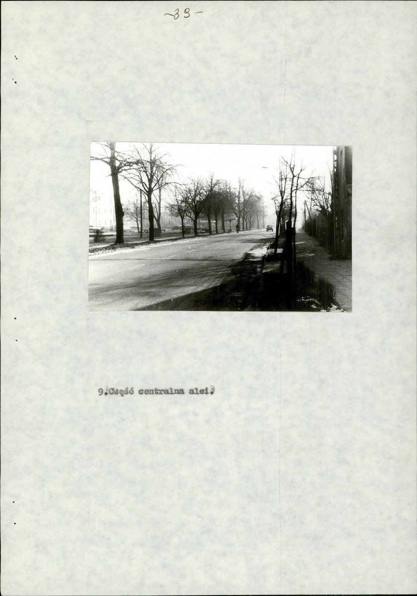 Ewidencja parkowa, skan nr 14