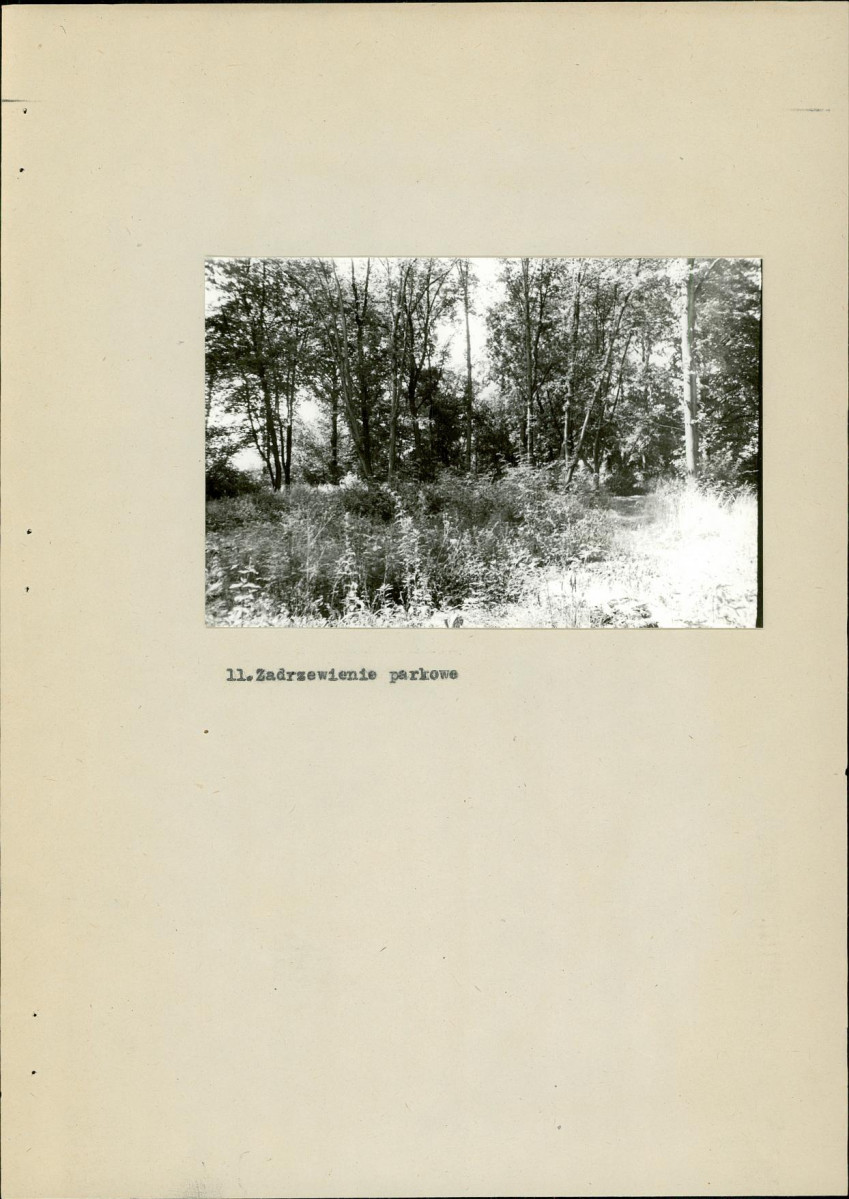 Ewidencja parkowa, skan nr 28