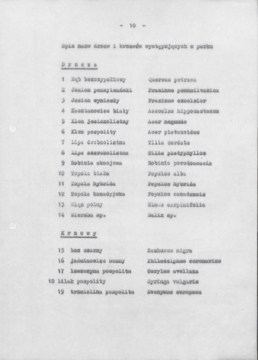 Ewidencja parkowa, skan nr 16