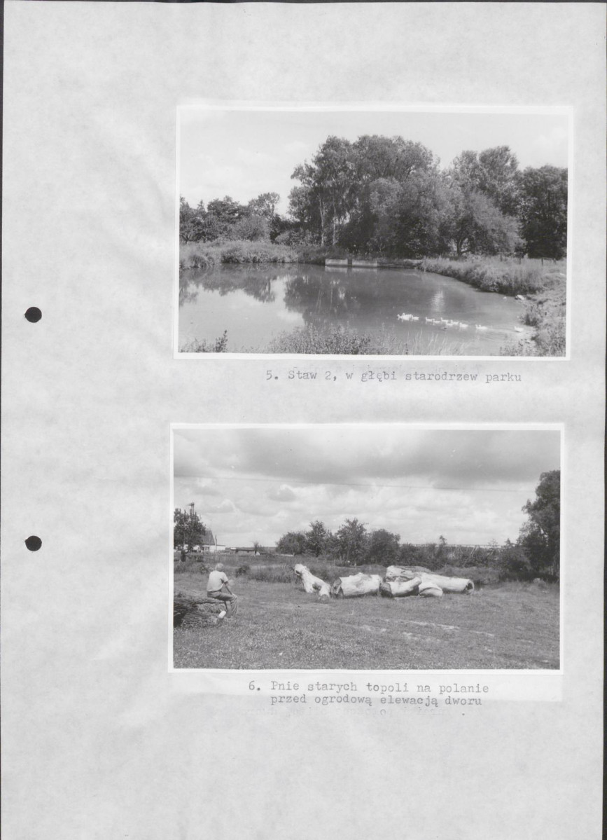 Ewidencja parkowa, skan nr 27