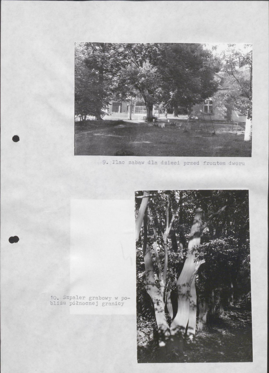 Ewidencja parkowa, skan nr 29