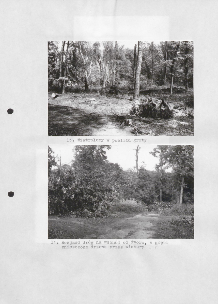 Ewidencja parkowa, skan nr 34