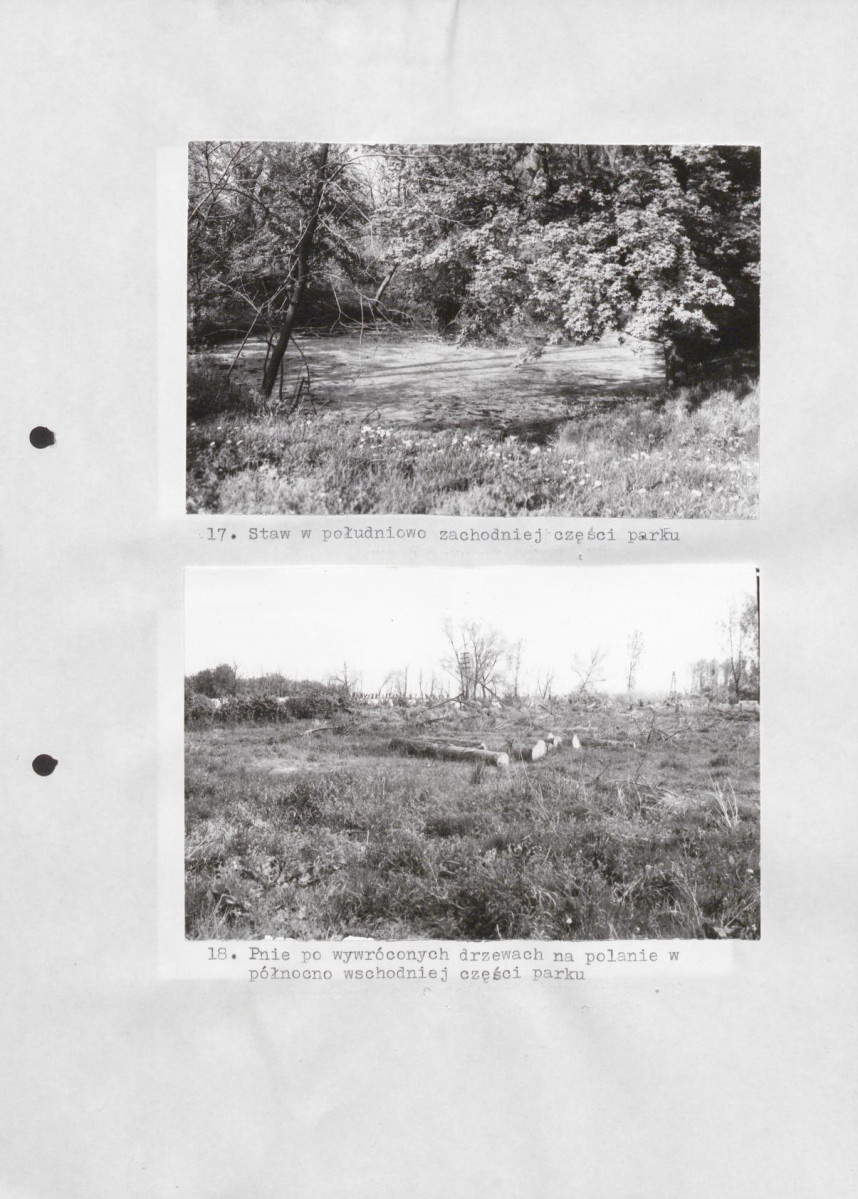 Ewidencja parkowa, skan nr 36