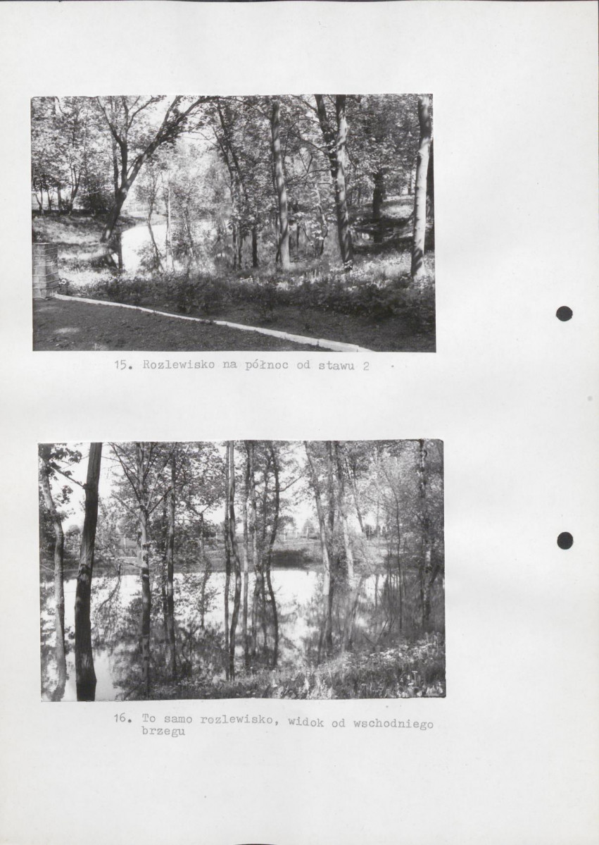 Ewidencja parkowa, skan nr 39