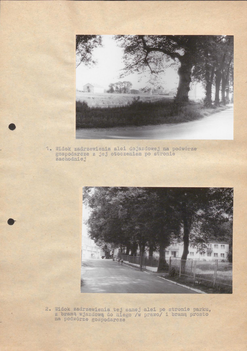Ewidencja parkowa, skan nr 26