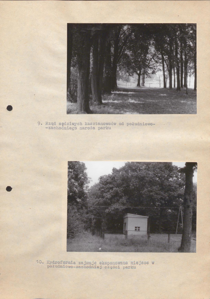Ewidencja parkowa, skan nr 30