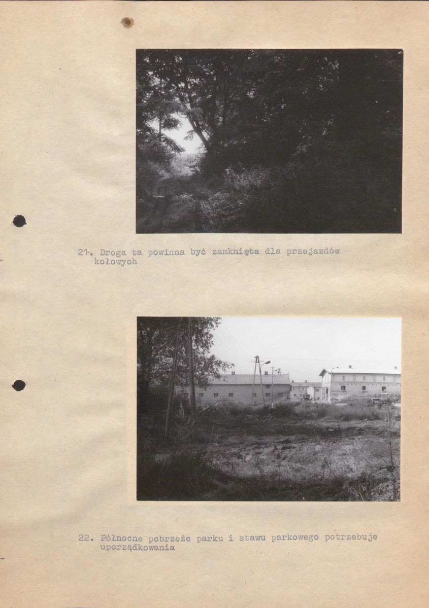 Ewidencja parkowa, skan nr 36