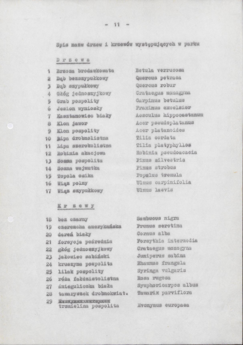 Ewidencja parkowa, skan nr 17