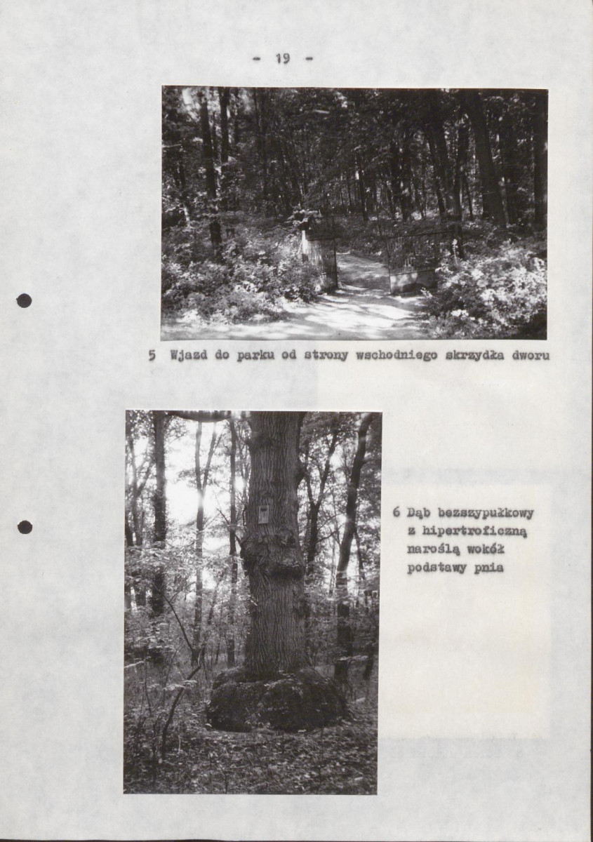 Ewidencja parkowa, skan nr 25