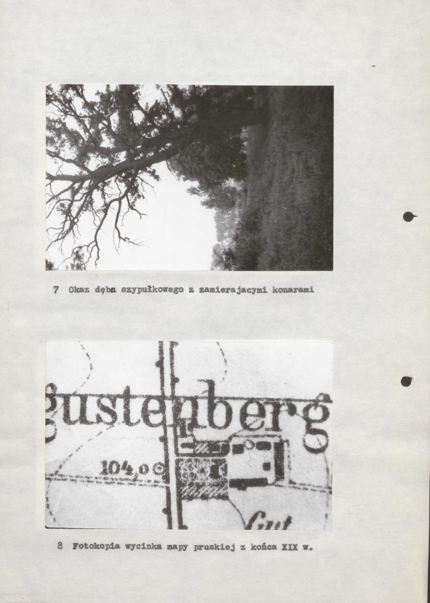 EP - Ewidencja parkowa, skan nr 23