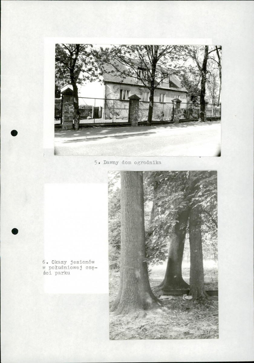 Ewidencja parkowa, skan nr 29