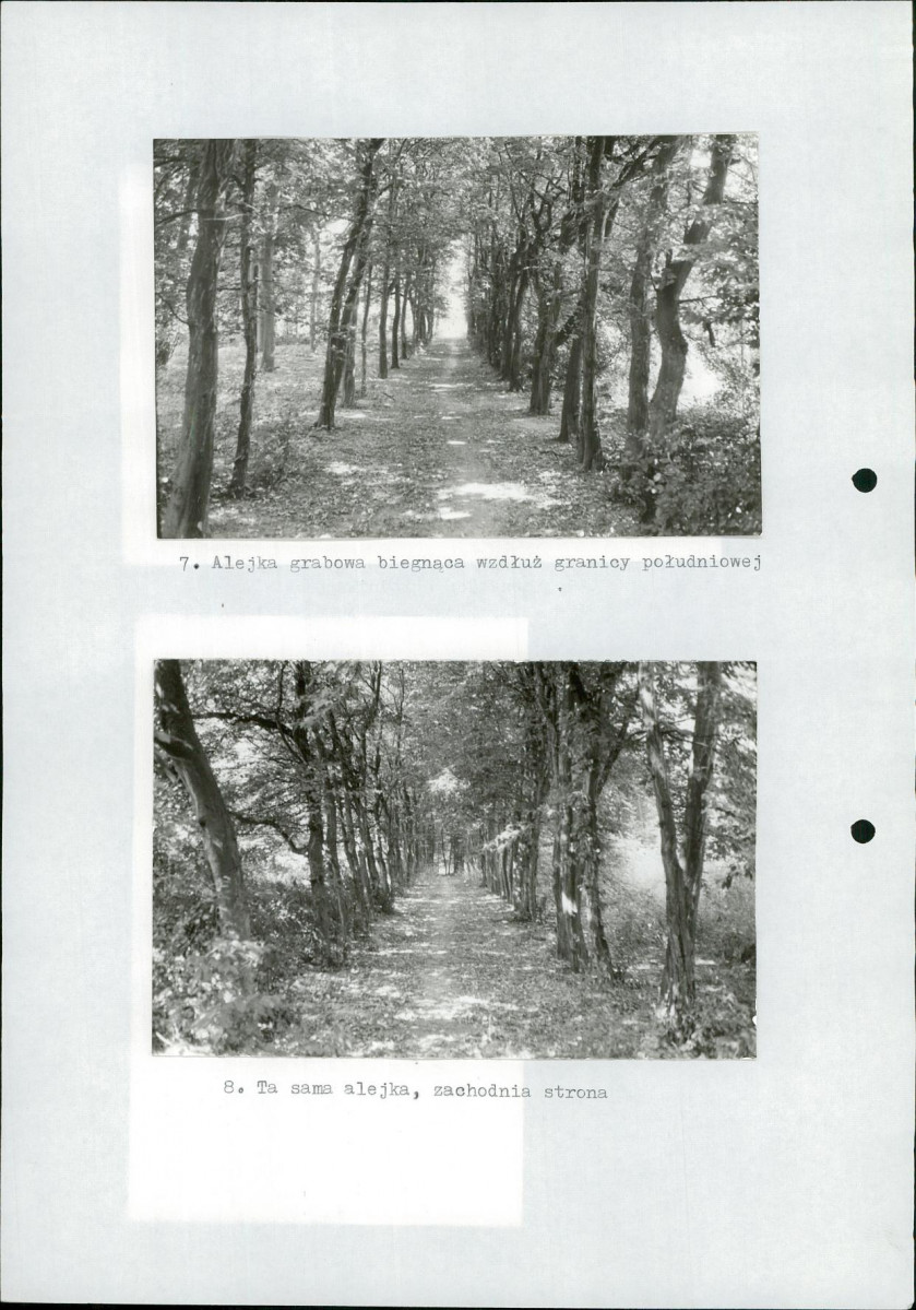 Ewidencja parkowa, skan nr 30