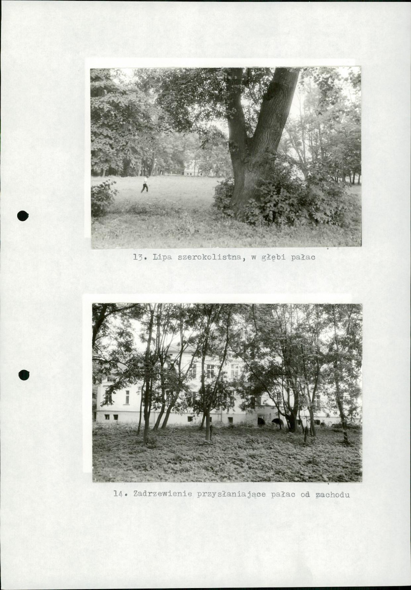Ewidencja parkowa, skan nr 33