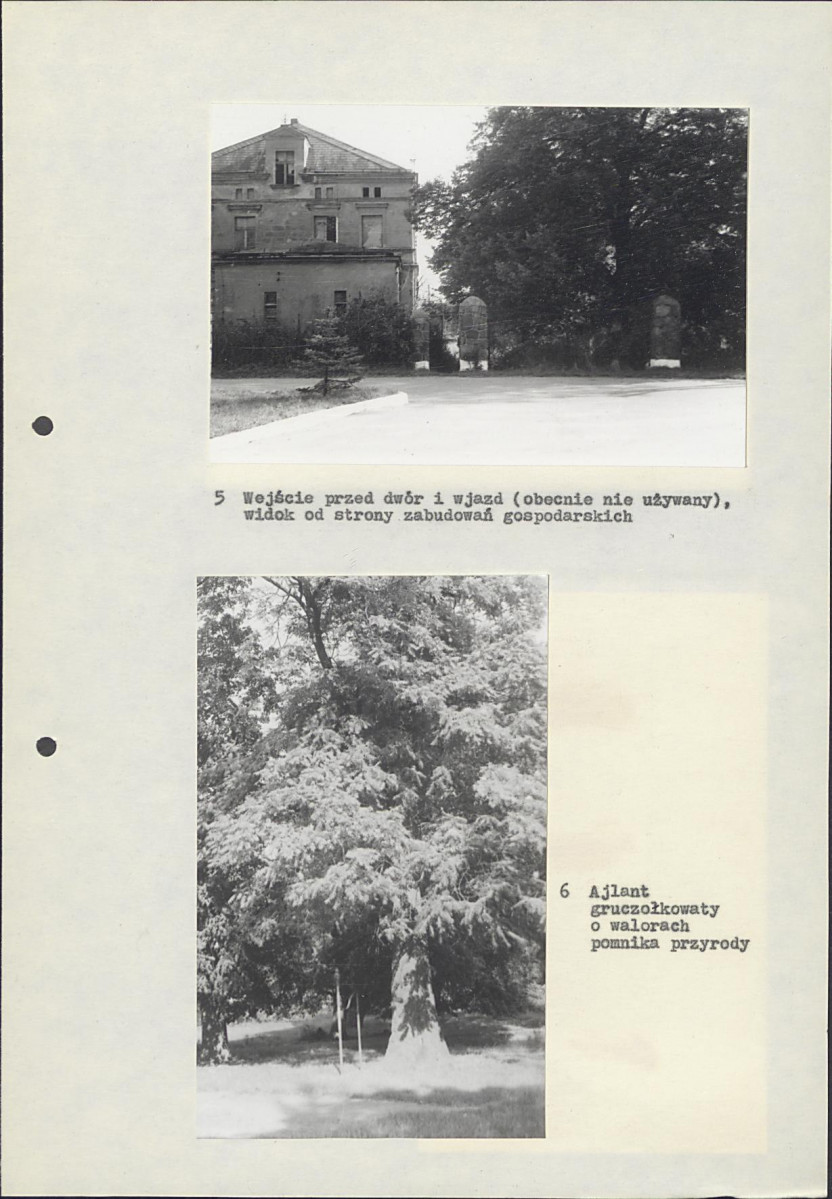 EP - Ewidencja parkowa, skan nr 26