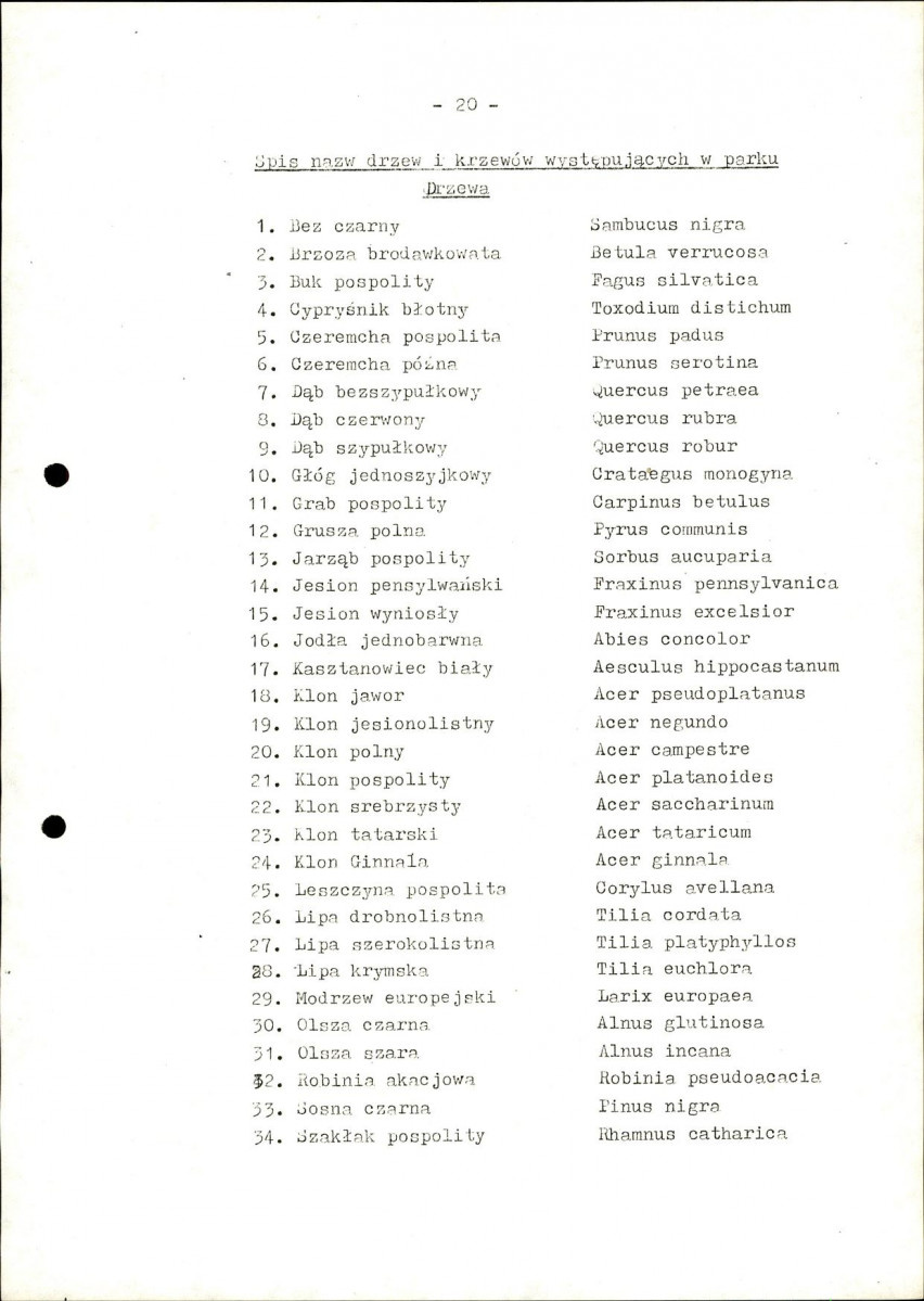 Ewidencja parkowa, skan nr 24