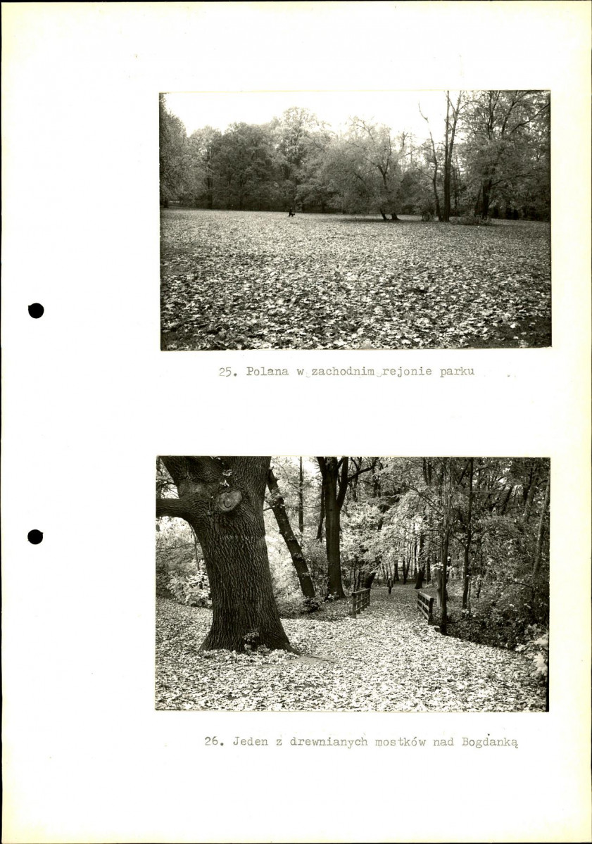 Ewidencja parkowa, skan nr 46