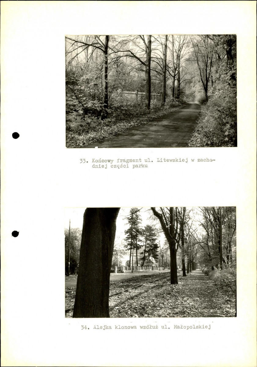 Ewidencja parkowa, skan nr 50